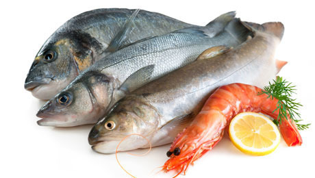Οδηγίες για την σωστή  συντήρηση των ψαριών και των Θαλασσινών